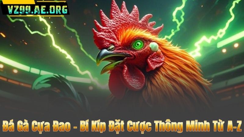 Đá Gà Cựa Đao – Bí Kíp Đặt Cược Thông Minh Từ A-Z 2 Đá Gà Cựa Đao – Bí Kíp Đặt Cược Thông Minh Từ A-Z