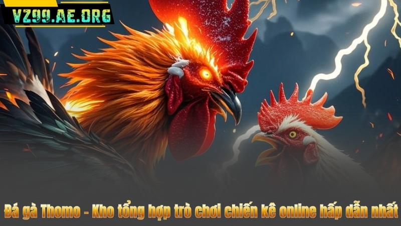 Đá gà Thomo – Kho tổng hợp trò chơi chiến kê online hấp dẫn nhất 4 da-ga-thomo-kho-tong-hop-tro-choi-chien-ke-online-hap-dan-nhat