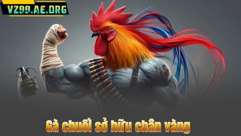 Gà chuối sở hữu chân vàng