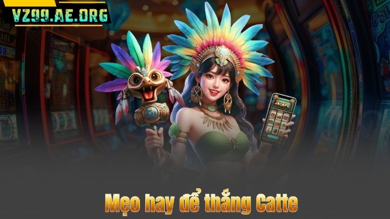 Mẹo hay để thắng Catte