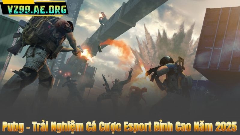 Pubg – Trải Nghiệm Cá Cược Esport Đỉnh Cao Năm 2025 4 Pubg – Trải Nghiệm Cá Cược Esport Đỉnh Cao Năm 2025