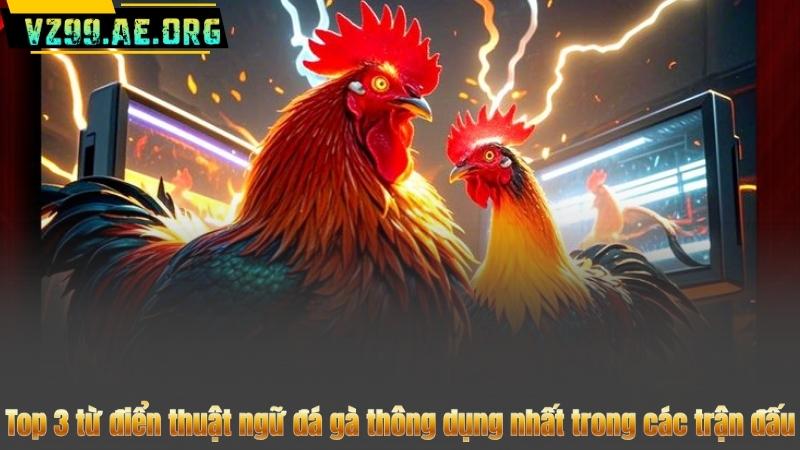 Top 3 từ điển thuật ngữ đá gà thông dụng nhất trong các trận đấu
