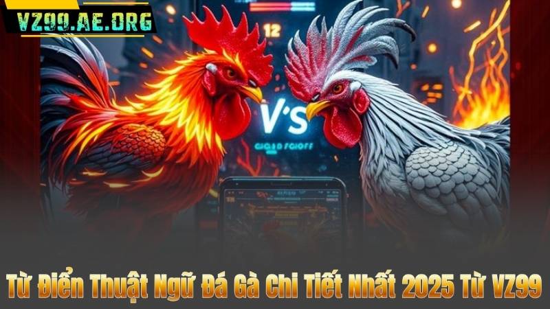 Từ Điển Thuật Ngữ Đá Gà Chi Tiết Nhất 2025 Từ VZ99 3 Từ Điển Thuật Ngữ Đá Gà Chi Tiết Nhất 2025 Từ VZ99